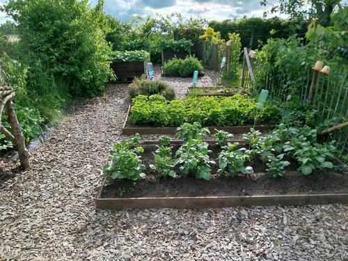 Foto - Grundst&uuml;ck in Sanitz zur Miete