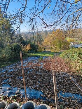 Foto - Gartengrundstück zu vermieten - 100,00 EUR Kaltmiete, ca.  0,00 m²