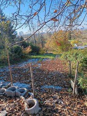 Foto - Grundstück zur Miete in Lörrach