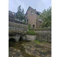 Einfamilienhaus unterkellert 90qm Wohnfläche 120qm gesamt 4 zi - Buchen (Odenwald)
