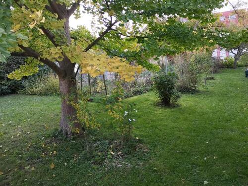 Foto - Einfamilienhaus in Steinheim an der Murr zum Kaufen