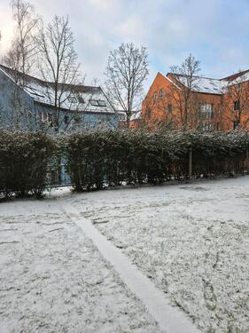 Foto - 3-Raum-Wohnung mit GartenTerasse in Potsdam, Kirchsteigfeld