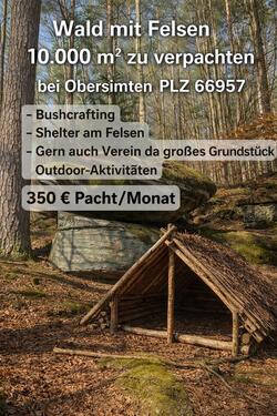 Foto - 10.000 m² Wald mit Felsen bei Obersimten (66957) zu verpachten