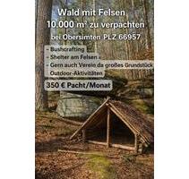 10.000 m² Wald mit Felsen bei Obersimten (66957) zu verpachten - Ruppertsweiler