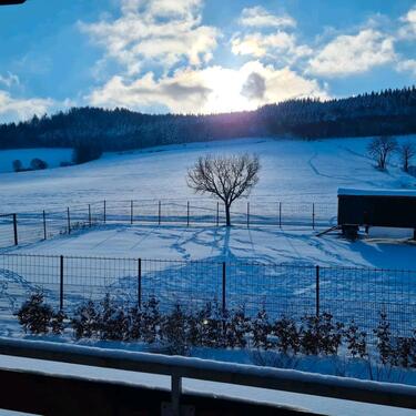 Foto - Grundstück zur Miete in Soest