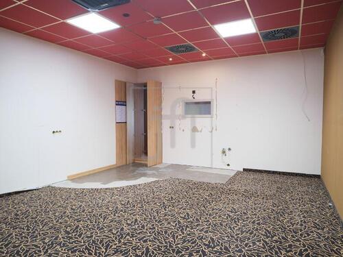 Foto - andere in Leer (Ostfriesland) zur Miete