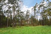 Foto - Waldgrundstück (7760 m²) in Jeserigerhütten (PM) zu verpachten