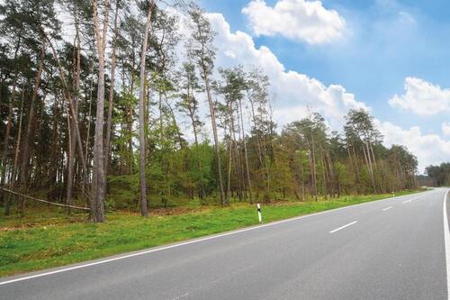 Foto - Grundst&uuml;ck in Wiesenburg/Mark