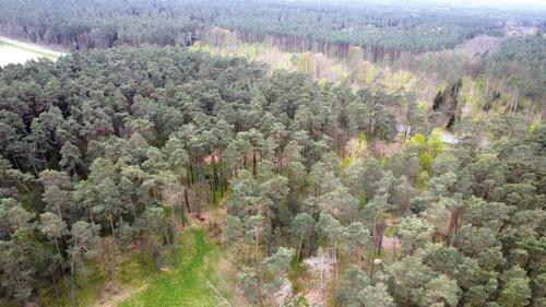 Foto - Grundst&uuml;ck in Wiesenburg/Mark zur Miete