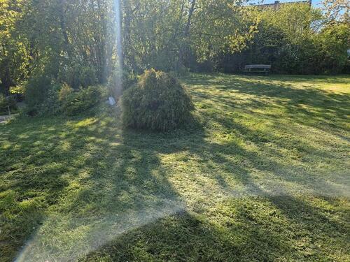 Foto - Grundstück zur Miete in Gemünden