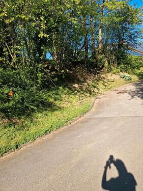 Foto - Grundstück in Gemünden