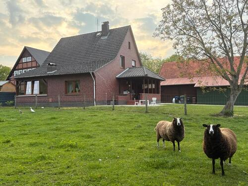 Foto - 3 Zimmer Einfamilienhaus zur Miete in Barnstorf