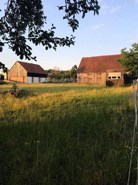 Foto - Hofstelle, Resthof, Bauernhof - 250.000,00&nbsp;EUR Kaufpreis, ca.&nbsp; 20,00&nbsp;m&sup2;&nbsp;Wohnfl&auml;che