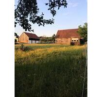 Hofstelle, Resthof, Bauernhof - 250.000,00&nbsp;EUR Kaufpreis, ca.&nbsp; 20,00&nbsp;m&sup2;&nbsp;Wohnfl&auml;che in Neumarkt in der Oberpfalz (PLZ: 92318) Altenhof