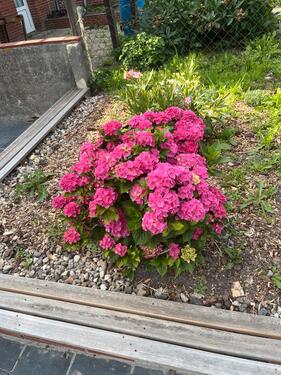 Foto - andere in Jemgum zur Miete