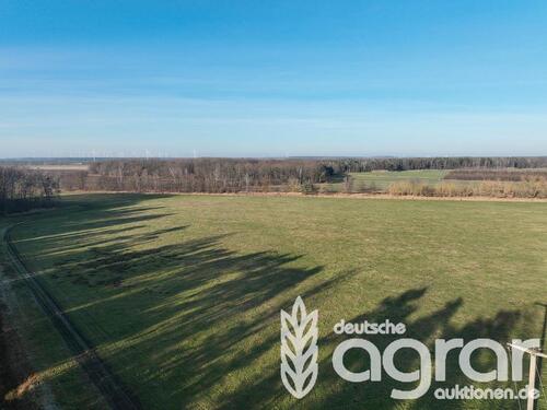 Foto - Kleine Wiese (ca. 0,2 ha) zw. Schwarzheide und Senftenberg