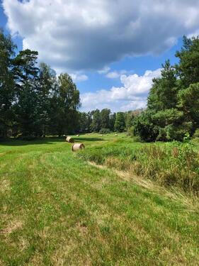 Foto - Grundst&uuml;ck in Guben