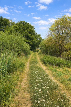 Foto - Grundst&uuml;ck in Guben zur Miete