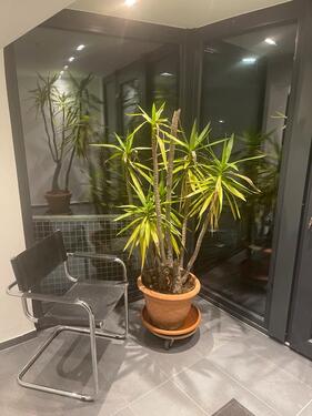 Foto - andere zur Miete in Freudenberg