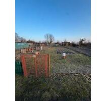Pachtgarten in Neuruppin 750m2 - 800,00&nbsp;EUR Kaltmiete, ca.&nbsp; 0,00&nbsp;m&sup2; in Neuruppin (PLZ: 16816)