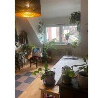 Einzimmerwohnung zur Zwischenmiete im Zentrum Freiburg - Freiburg im Breisgau