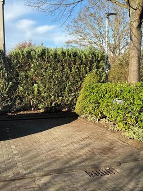 Foto - STELLPLATZ KÖLN ESCH - 100,00&nbsp;EUR Miete,