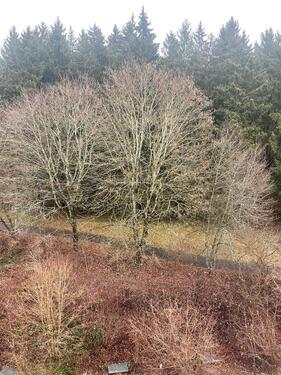 Foto - 2-Zimmer Wohnung mit herrlichem Ausblick -Waldrandlage