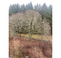 2-Zimmer Wohnung mit herrlichem Ausblick -Waldrandlage - Tuttlingen