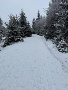 Foto - andere zur Miete in Melle