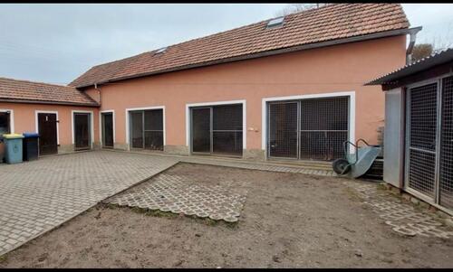 Foto - 6 Zimmer Einfamilienhaus in Zittau