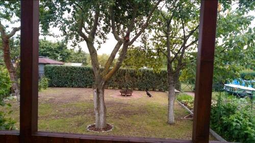 Foto - 2 Zimmer Einfamilienhaus in Brieselang