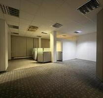 115 m² Gewerbefläche in Ludwigshafen-West AB SOFORT zu vermieten! - Ludwigshafen am Rhein