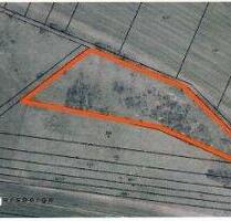 Flächen zur Heugewinnung - 96,00&nbsp;EUR Kaltmiete, ca.&nbsp; 0,00&nbsp;m&sup2; in Amt Wachsenburg (PLZ: 99334)