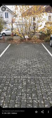Foto - Stellplatz Koblenz Karthause - 40,00 EUR Miete,