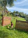 Foto - pachgarten zum abgeben - 3.000,00 EUR Kaltmiete, ca.  0,00 m²