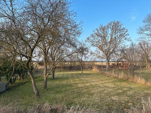 Foto - Pachtgarten in Elbnähe - Standort 19309 Lütkenwisch