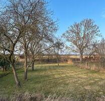 Pachtgarten in Elbnähe - Standort 19309 Lütkenwisch - Wittenberge