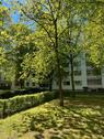Foto - 3 Zimmer Etagenwohnung zum Kaufen in München