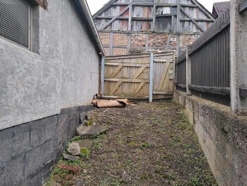 Foto - Einfamilienhaus in Plaue zum Kaufen