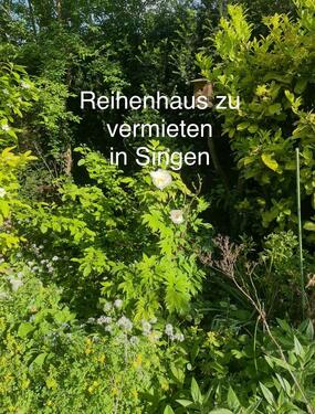 Foto - Reihenhaus in Singen zu vermieten!