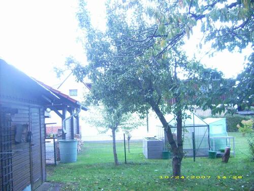 Foto - Grundstück in Hermsdorf zur Miete