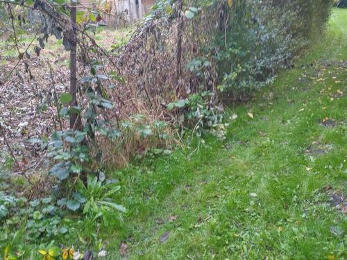 Foto - Grundst&uuml;ck zur Miete in Storkow (Mark)