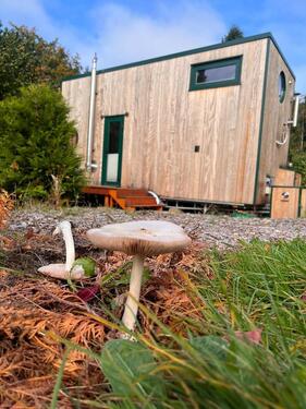 Foto - TinyHouse hohe Qualität, exklusives Design, durchdacht, gemütlich