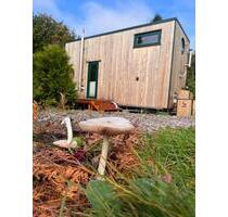 TinyHouse hohe Qualität, exklusives Design, durchdacht, gemütlich - Wald-Michelbach