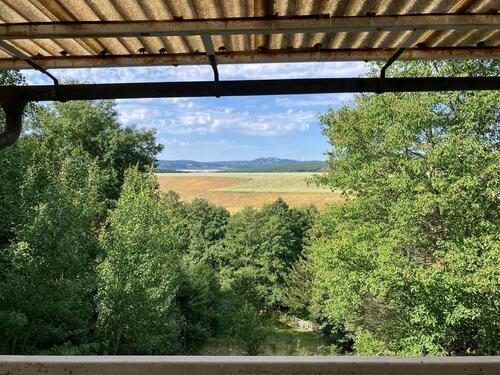 Foto - Eigentumsgarten mit Bungalow im Ilmkreis, ganzjährig nutzbar