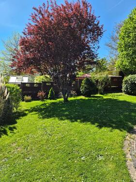 Foto - 4 Zimmer Einfamilienhaus zum Kaufen in Schwalmstadt