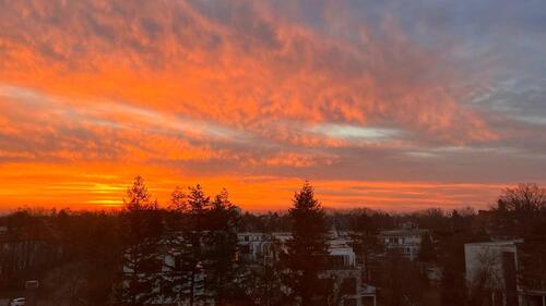 Foto - 1 Zimmer Etagenwohnung zur Miete in Berlin