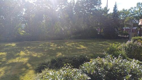 Foto - 1 Zimmer Erdgeschoßwohnung zum Kaufen in Saarbrücken