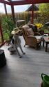 Foto - Einfamilienhaus zum Kaufen in Altena