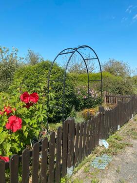 Foto - Kleingarten in Sachsen-Anhalt 06888 LUTHERSTADT WITTENBERG